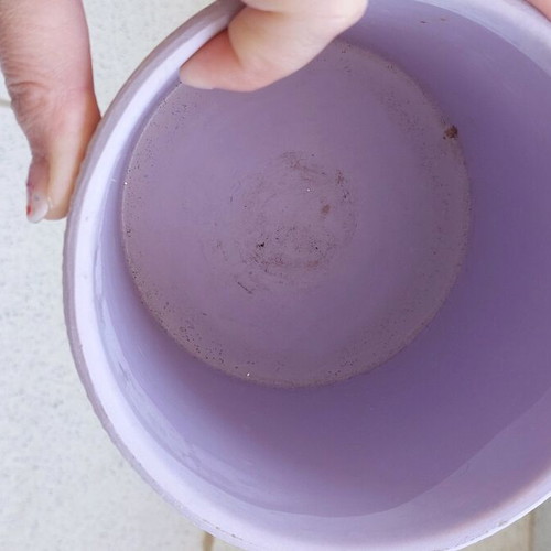 Ceramic purple flowerpot like new without hole