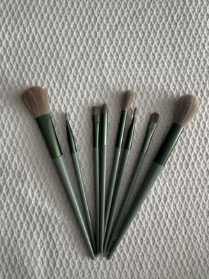 Makeup brush set like new