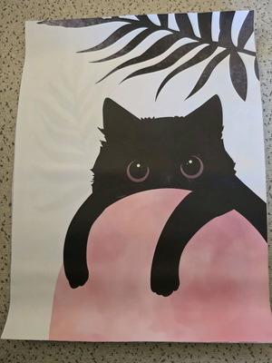 Poster 40x30cm like new without frame