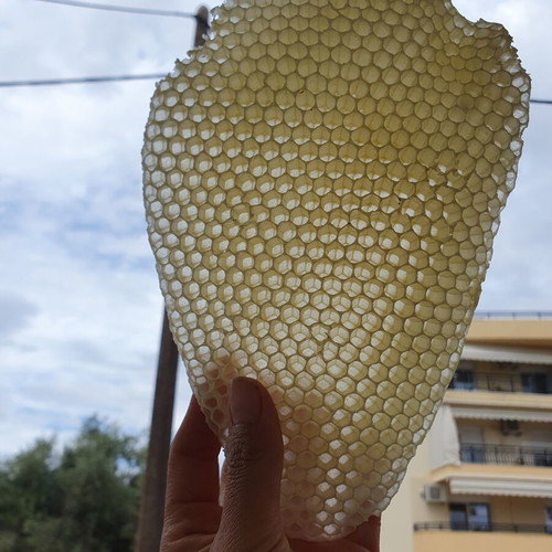 Natural Honeycomb New
