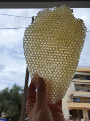Natural Honeycomb New