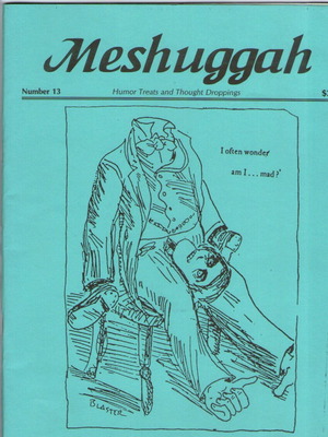 Meshuggah fanzine issue 13 used