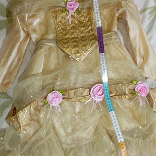 Golden princess carnival costume like new
