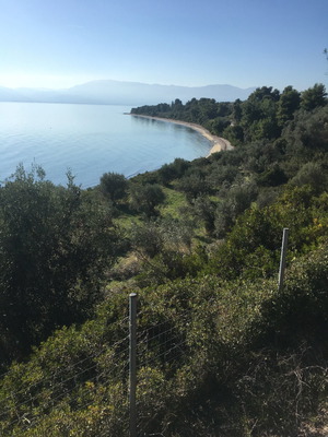 Seafront Land Plot 2048 m² Buildable, Corner, Evia