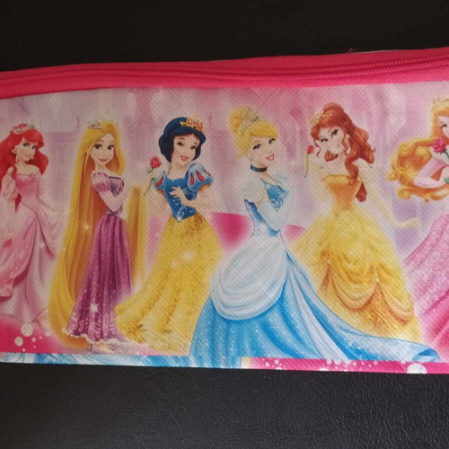 Princess pencil case new fabric