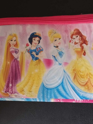 Princess pencil case new fabric