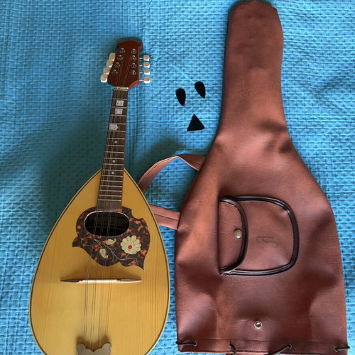 Italian Mandolin with Case 2005 Like New