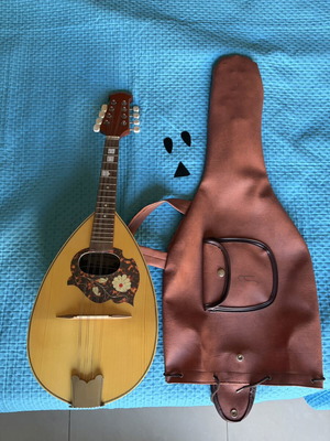 Italian Mandolin with Case 2005 Like New
