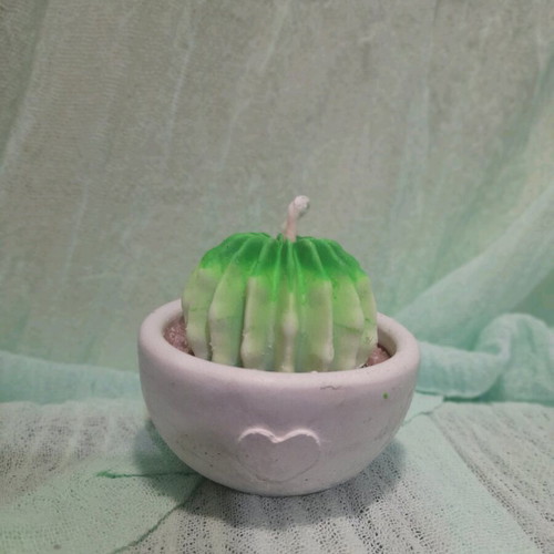 Handmade soy candle in plaster with coffee and green forest scent