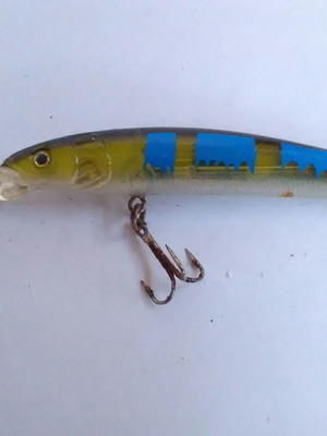 Rebel artificial fishing lure for spinning and trolling