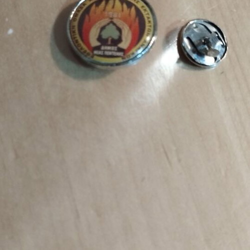 Pin 1981 used, Volunteer Emergency Response Team Nea Penteli Municipality