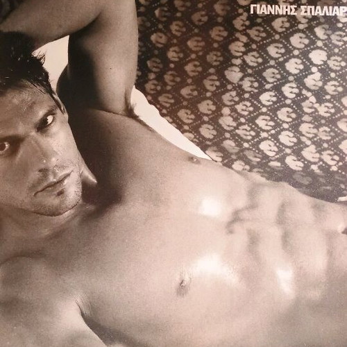 Cosmopolitan calendar 2004 like new