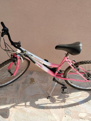 Orient Comfort mountain bike, women's low frame