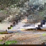 Πωληση Οικοπέδου 325 τ.μ Αζωγυρες-Παλαι