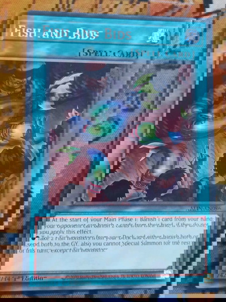 Fish And Bids (Yugioh)