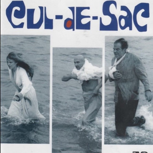 Cul-de-Sac DVD like new, collectible edition Roman Polanski