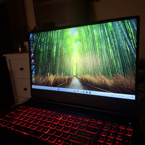 MSI GL65 Leopard Gaming Laptop like new, 32GB RAM, RTX 2070