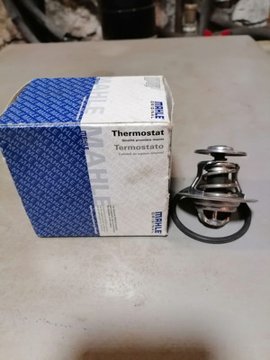Thermostat for Opel new, German quality