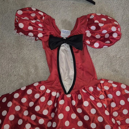 Mini Mouse carnival costume for girls 3 and 4 years like new