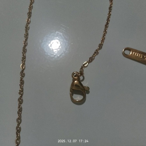 Thin gold-colored necklace used