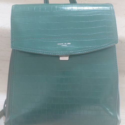 David Jones green backpack used with internal pocket repair needed