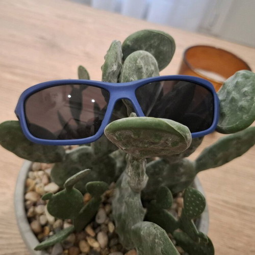 T.COOK by Creasol Kids Sunglasses for Boys like new, blue