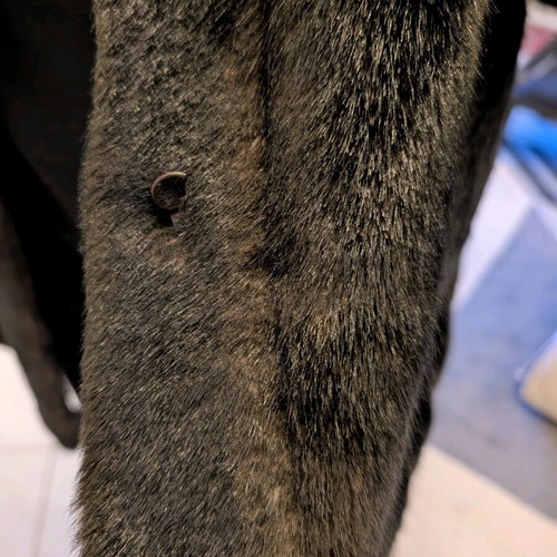 Fur used, in very good condition, size M, black