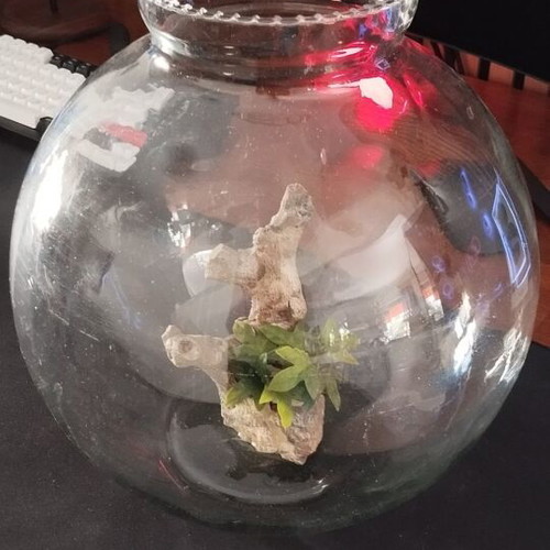 Aquarium with small tree 30x30 like new