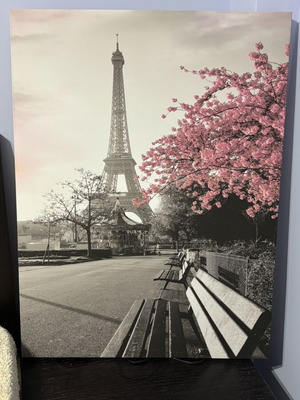 Paris Canvas Art Like New, 81x60cm