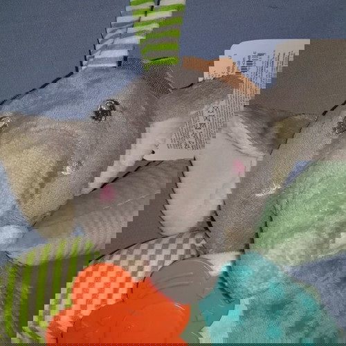 ΒΡΕΦΙΚΟ ΜΟΥΣΙΚΟ ΠΑΙΧΝΙΔΙ ΕΛΕΦΑΝΤΑΣ