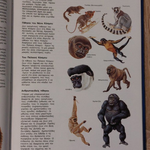The World of Animals used, prehistoric mammals and monkeys