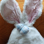 Plush rabbit used