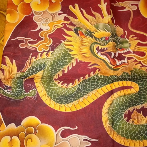 Dragon Pillowcase new, 45x45 cm