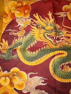 Dragon Pillowcase new, 45x45 cm