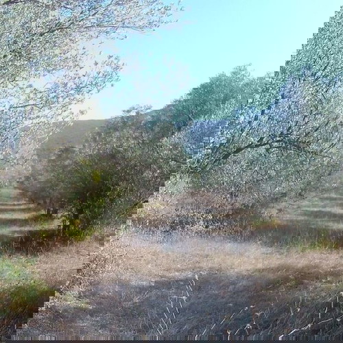 Building Land 307 m² in Davleia Viotia with Storage and Agricultural Plots