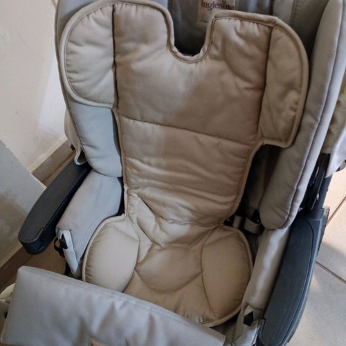 Inglesina Zippy Free stroller used with car seat and accessories