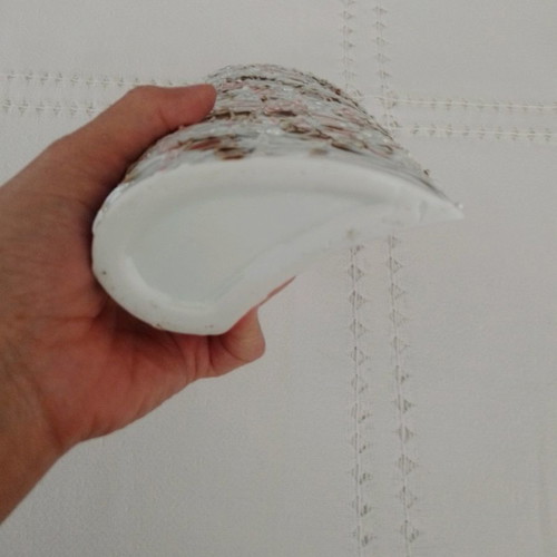 Decorative vase used porcelain with embossed modern pastel design