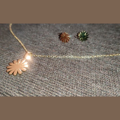 Daisy set made of gold-tone stainless steel new