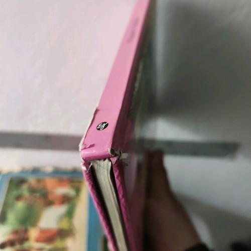 Disney Magemeni Stavloi book used