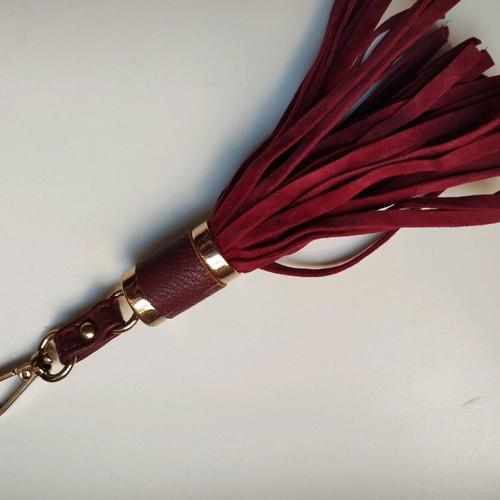 Bordeaux crossbody bag Carpisa like new with zipper and keychain