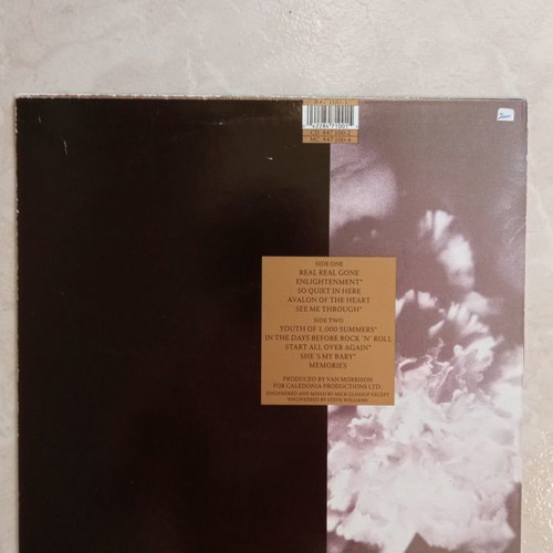 Van Morrison Enlightenment LP used