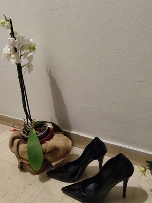 Moyo leather patent leather pumps new, size 39, black