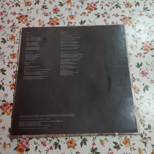 Sun of Nothing The Guilt of Feeling Alive brown orange vinyl LP like new