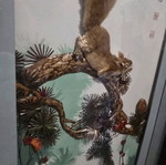 Japanese frame used