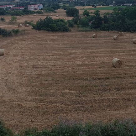 Agricultural land 4500 sq.m. in Hortiatis, Thessaloniki