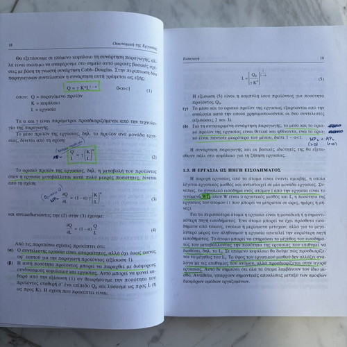 Economics of Labor by Theodoros P. Lianos and Anna Ntaouli-Dtemousi