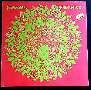 Magic Mushroom Band–Process Of Illumination Vinyl, LP, Album, Reissue,UK,Psychedelic Rock