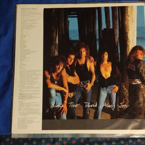 Bon Jovi New Jersey LP vinyl used, rock