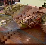  ΚΑΝΑΠΕΣ ΓΩΝΙΑ * NATUZZI *