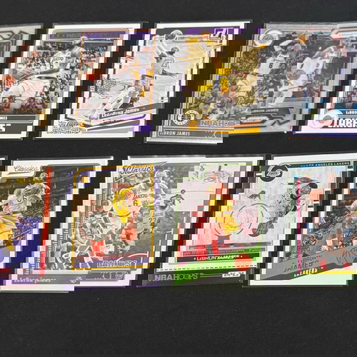 Panini NBA - LeBron James lot (8 cards)
